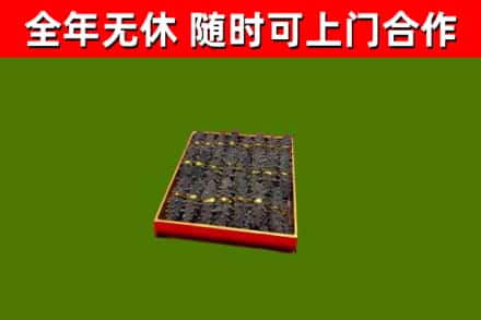 驻马店市回收海参